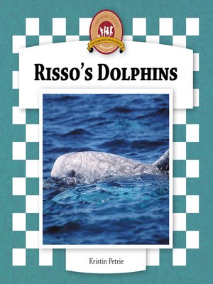 cover image of Risso's Dolphins